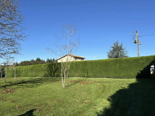 JHP jardin & clôturage
